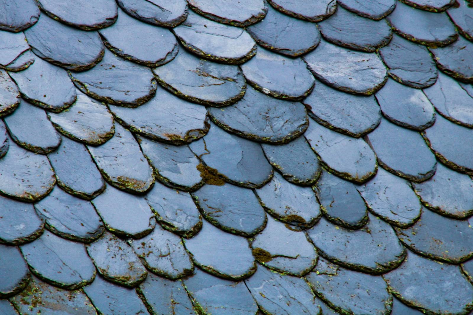Schubvormige natuurleien met wat mos van dichtbij